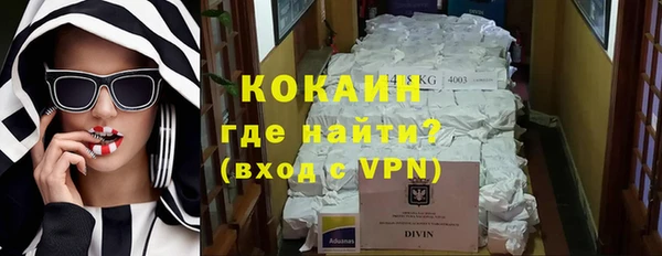 стаф Кодинск