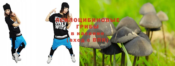 MESCALINE Кинешма
