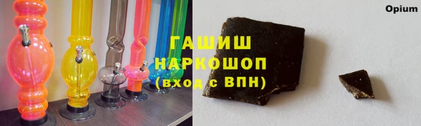 стаф Кодинск